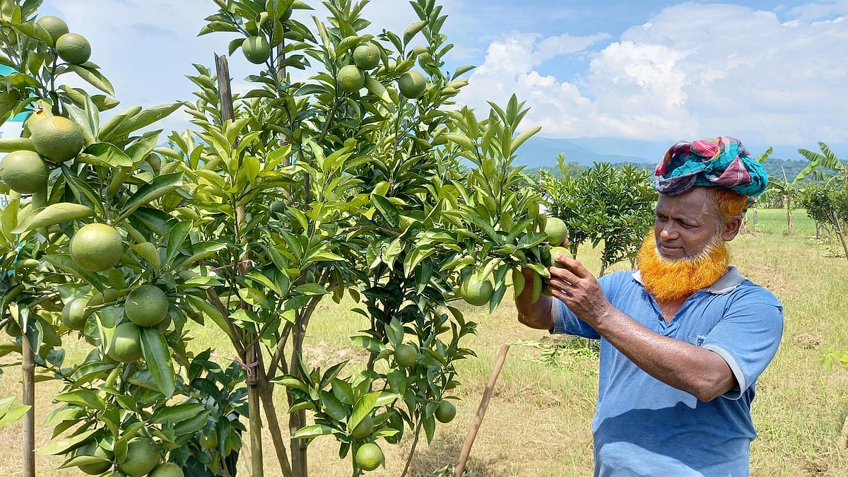 ছবি: প্রথম আলো
