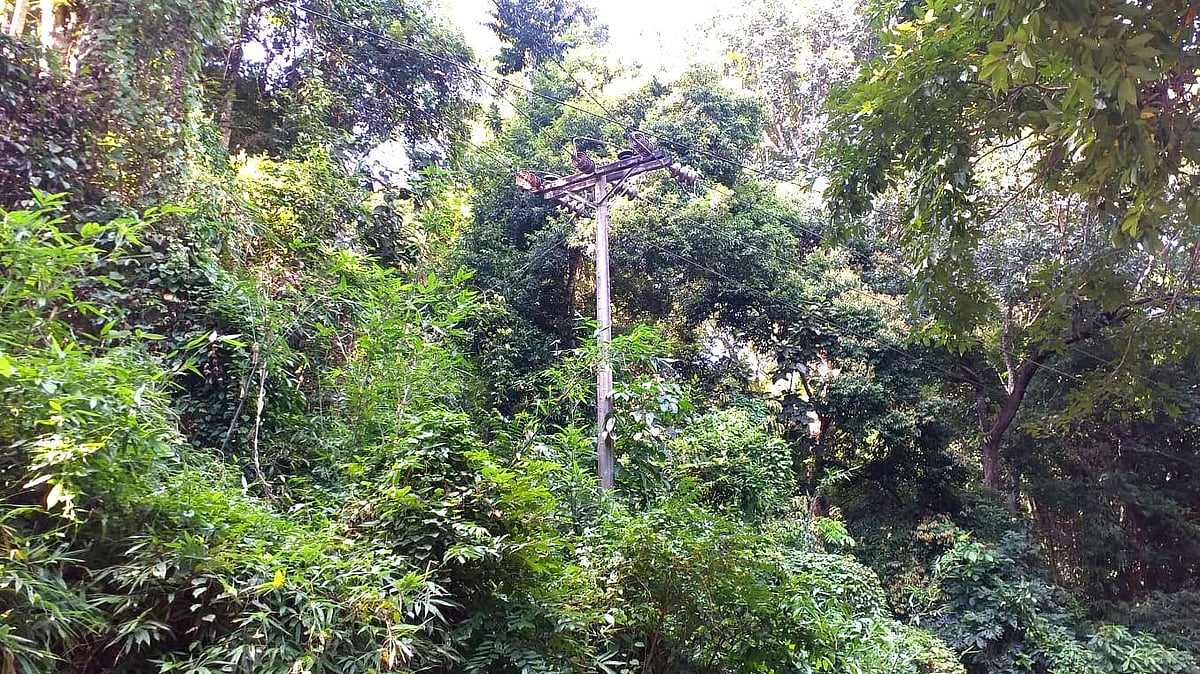 প্রথম আলো