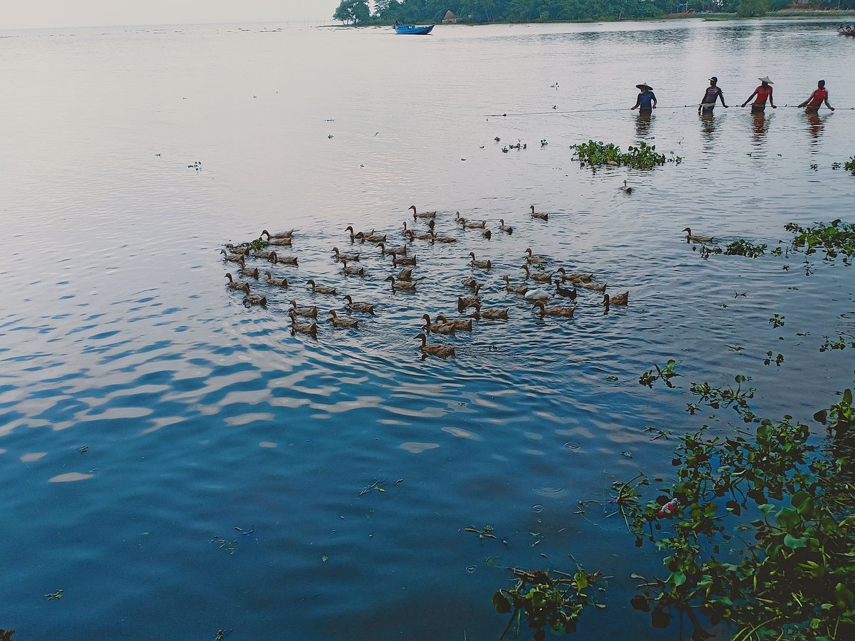 প্রথম আলো ফাইল ছবি