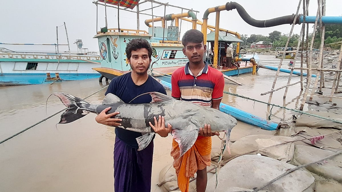  ছবি:  এম রাশেদুল হক