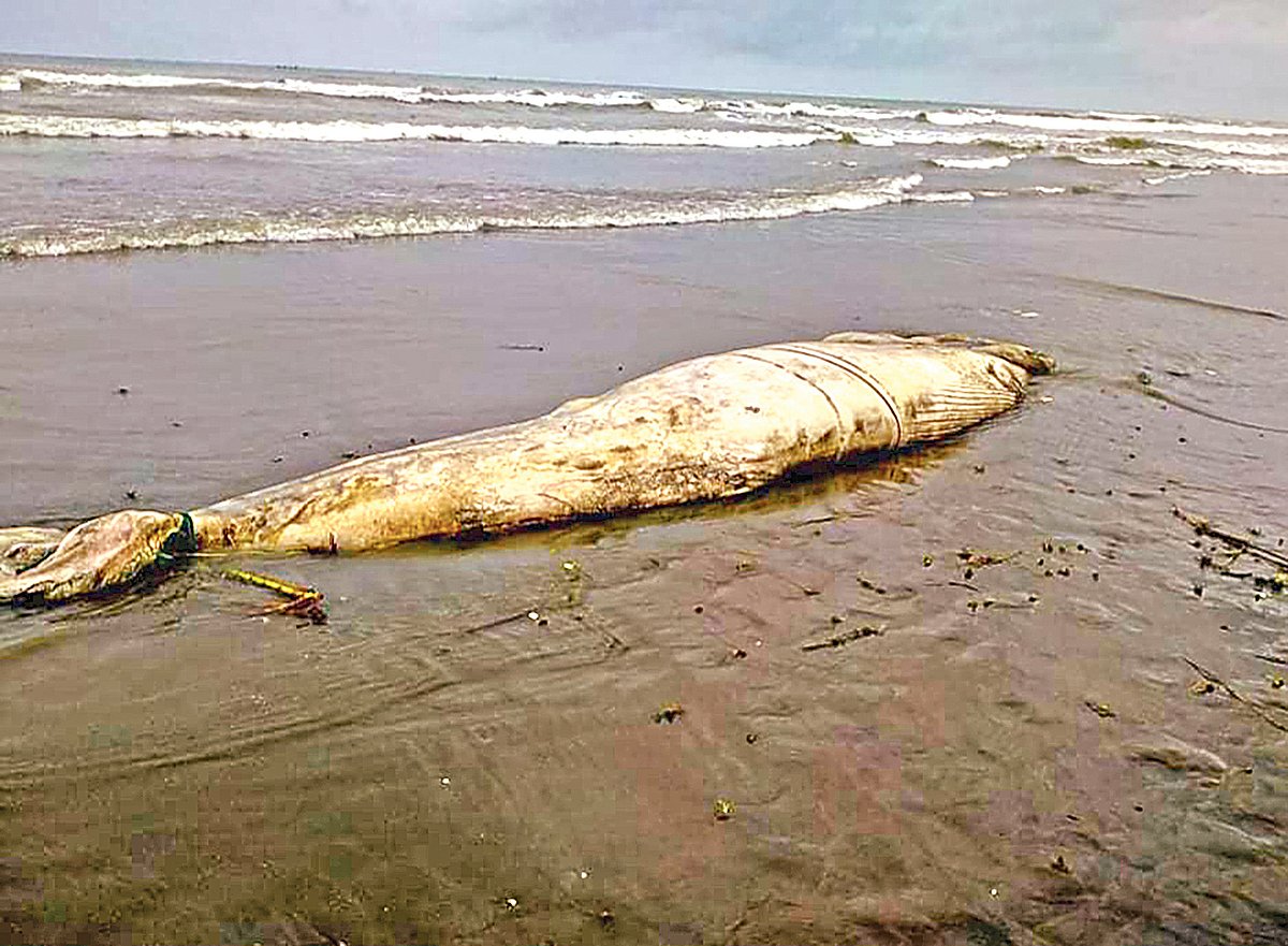 ছবি: প্রথম আলো