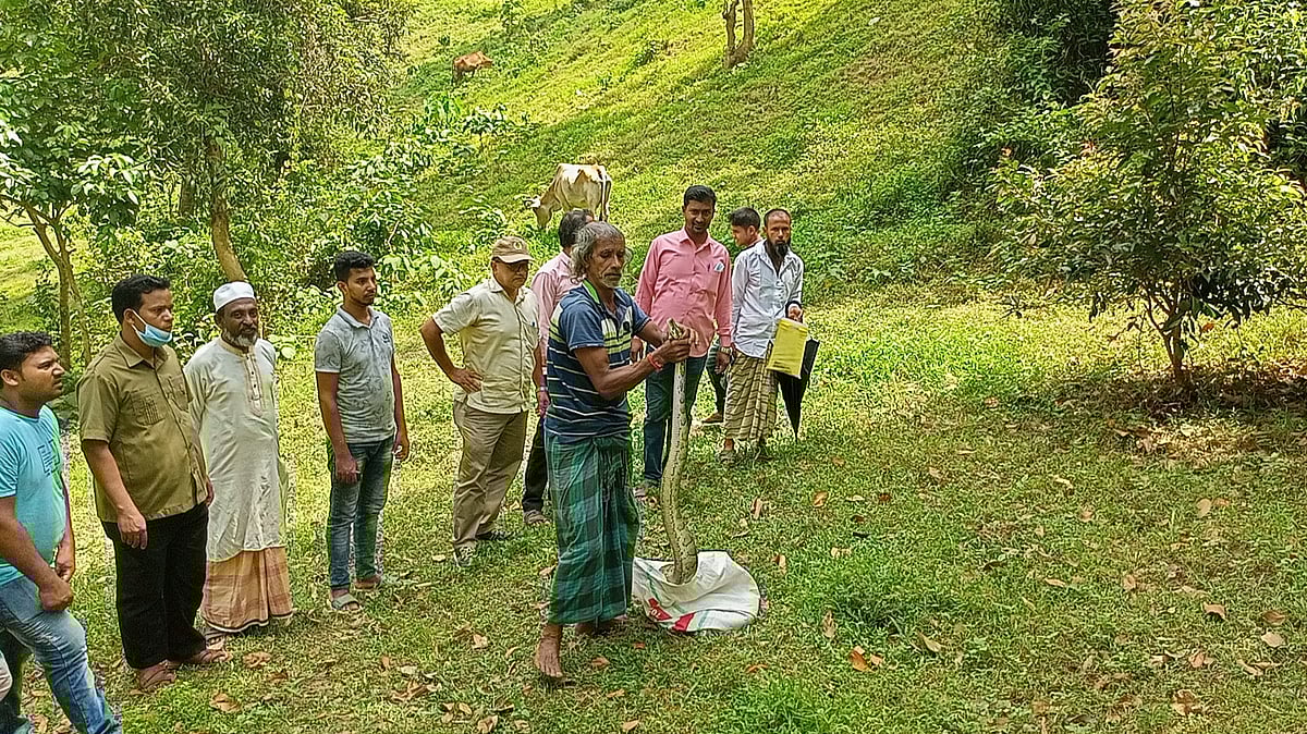 ছবি: প্রথম আলো