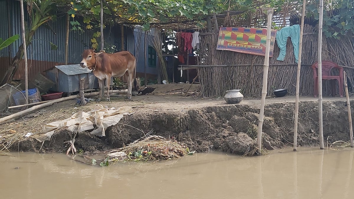 ছবি: প্রথম আলো