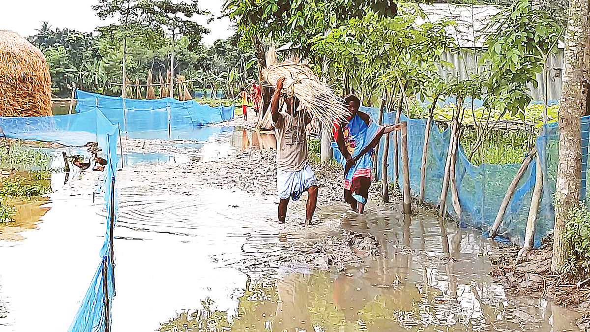 ছবি: প্রথম আলো

