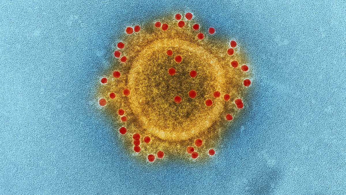 প্রতীকী ছবি