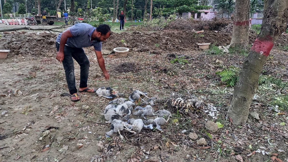 ছবি: প্রথম আলো