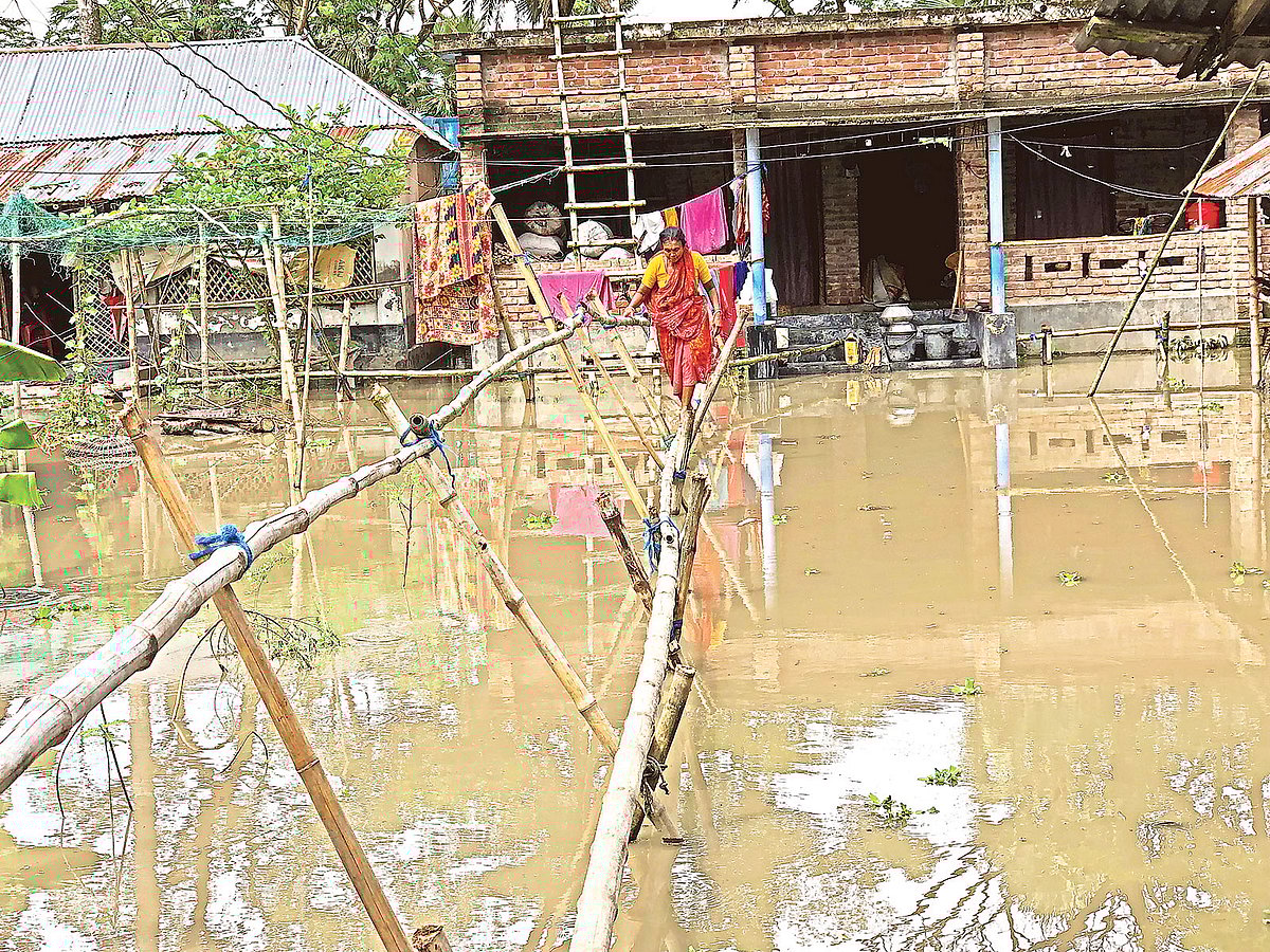 ছবি: প্রথম আলো 