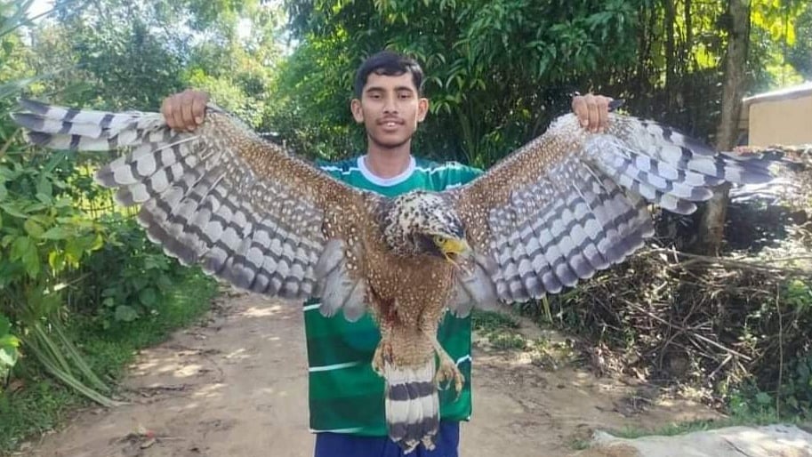 ছবি: প্রথম আলো