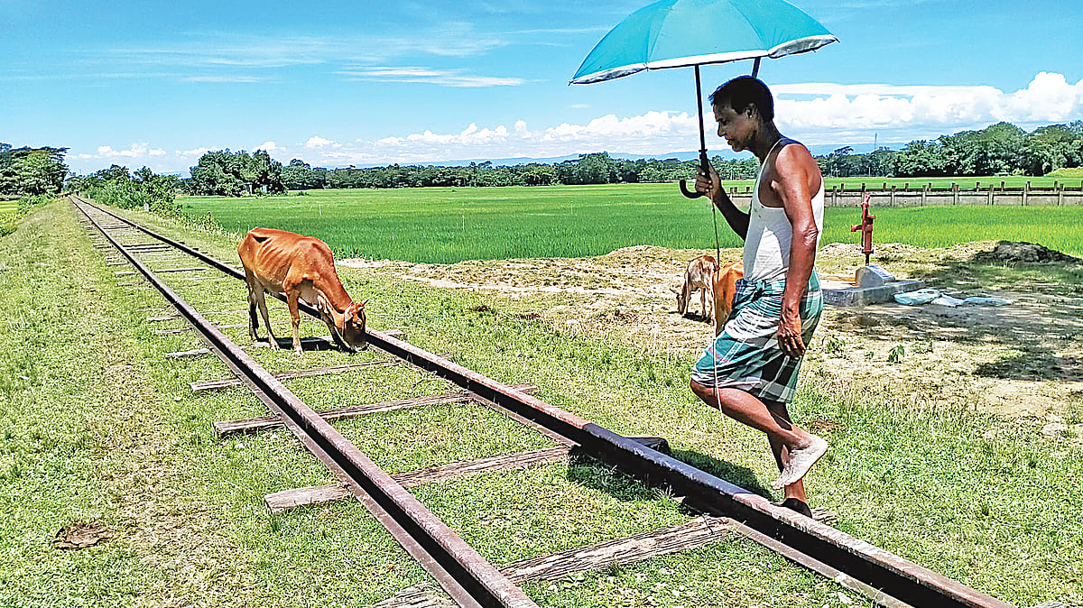 আনিস মাহমুদ