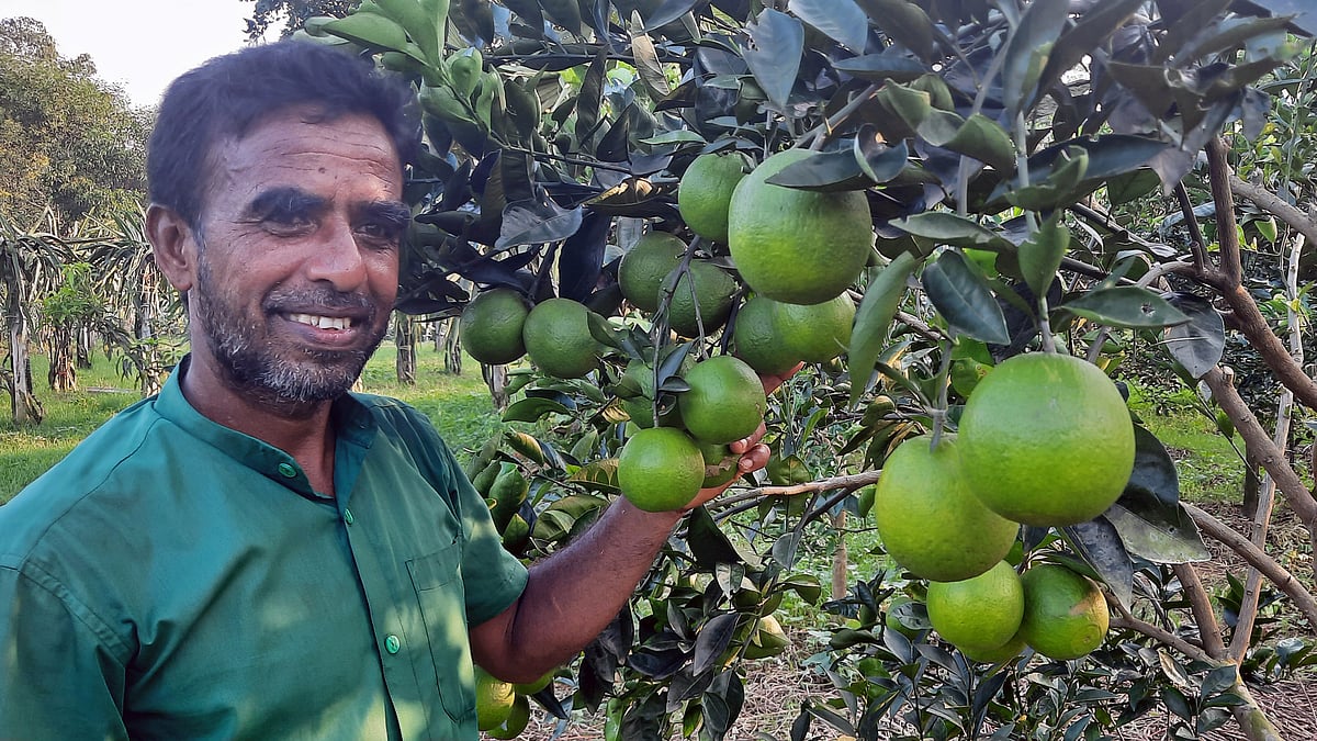 ছবি: কামনাশীষ শেখর