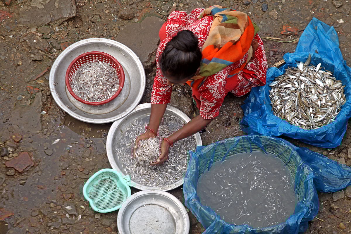 ছবি: আনিস মাহমুদ