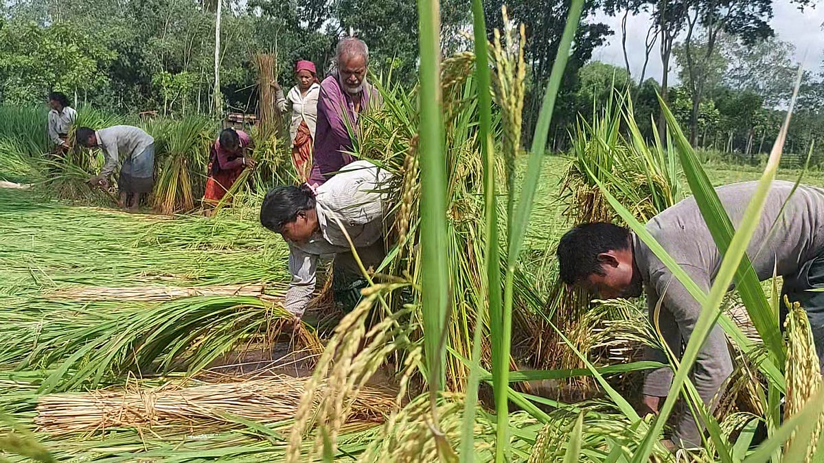 ছবি: প্রথম আলো