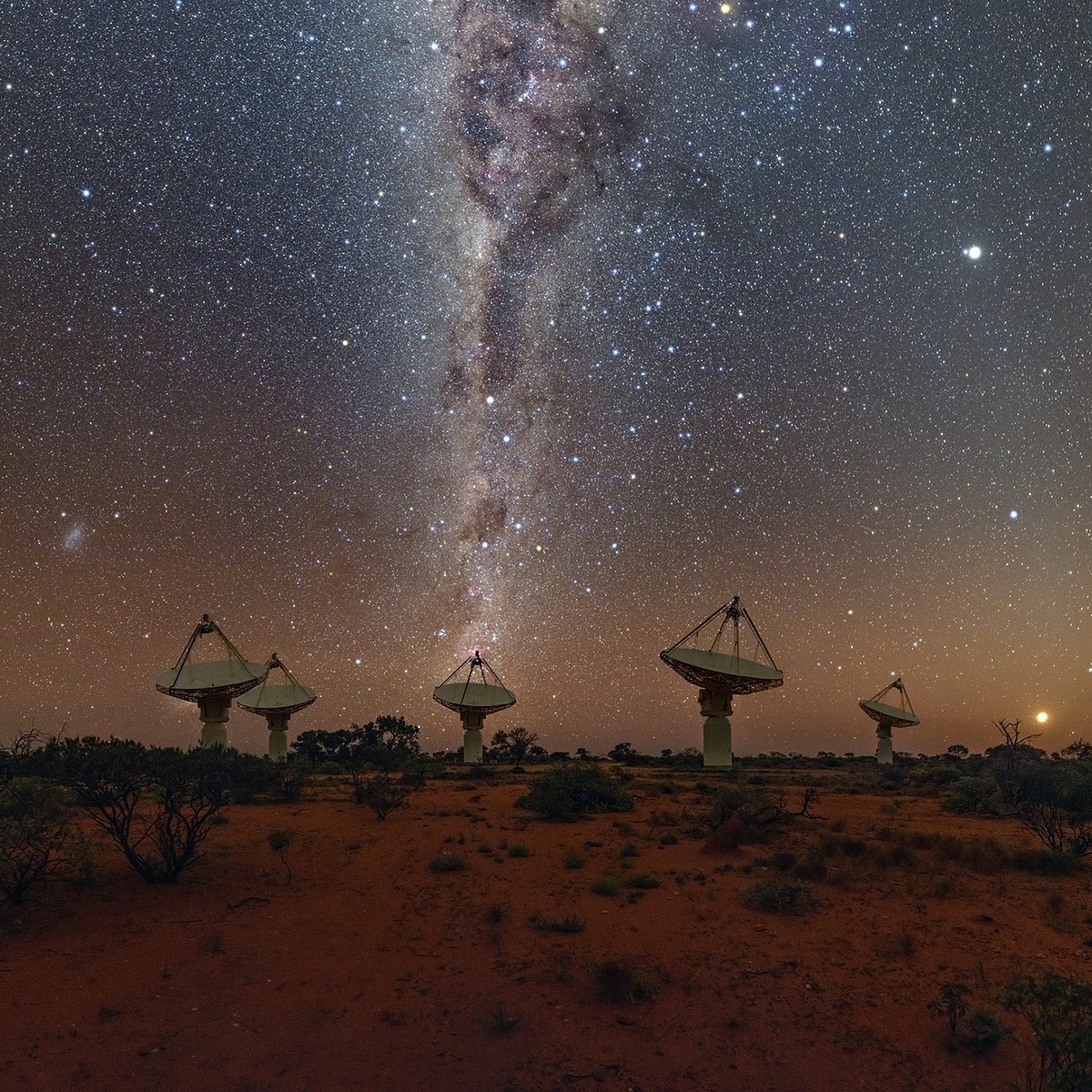 সিএসআইআরও