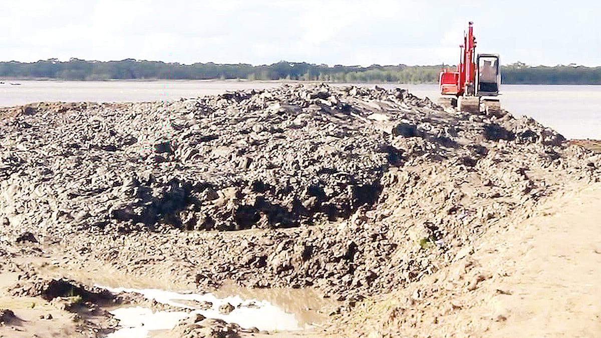 ছবি: প্রথম আলো 