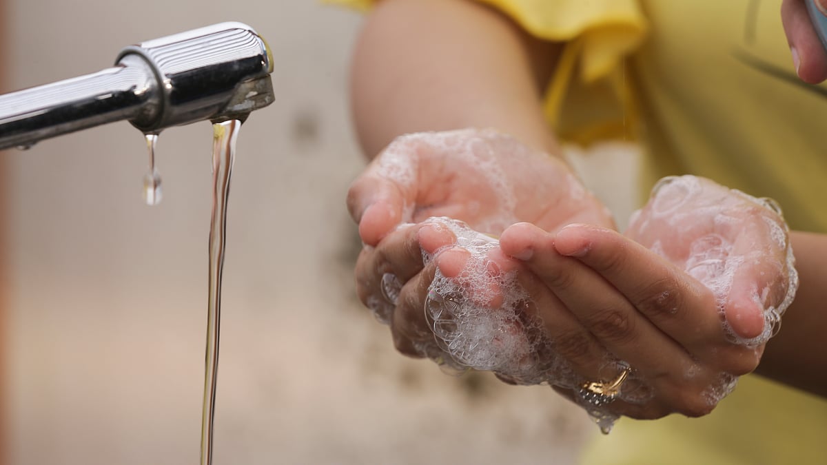 ছবি: প্রথম আলো