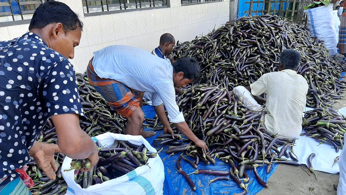 ছবি: প্রথম আলো