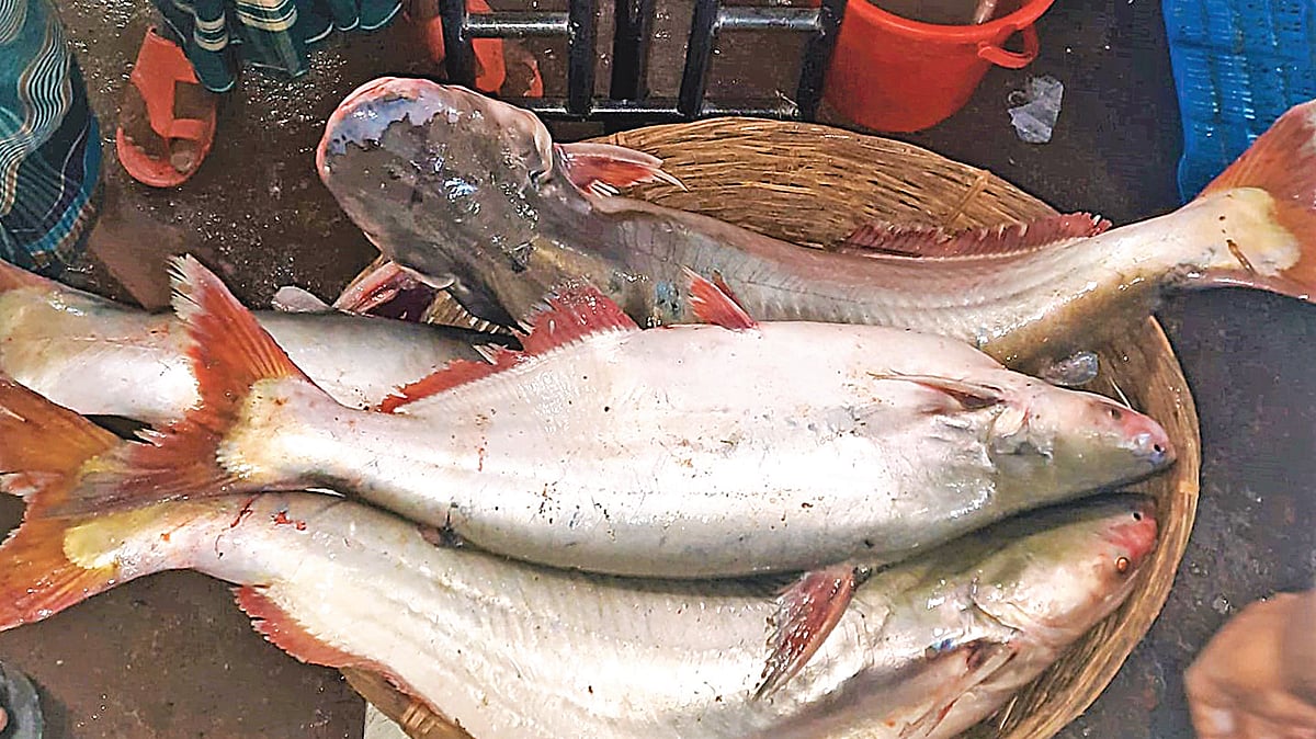   ছবি: প্রথম আলো