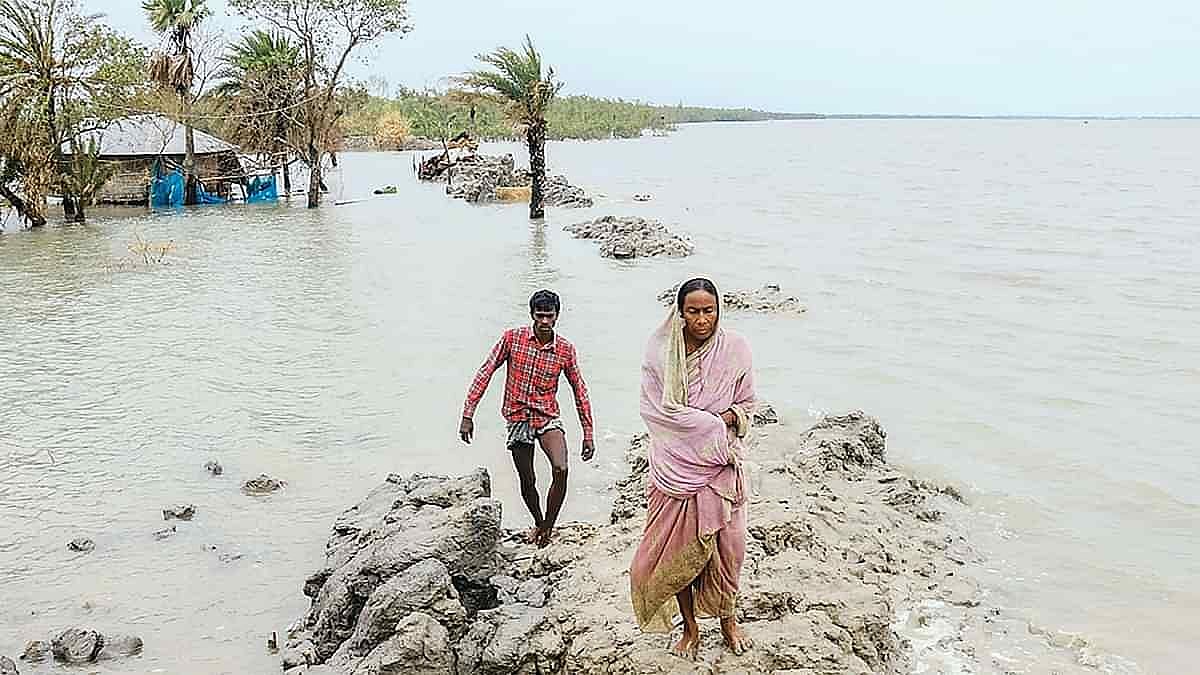 ফাইল ছবি: প্রথম আলো