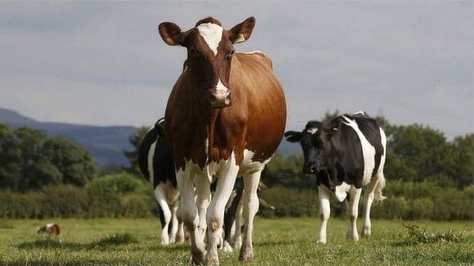 প্রতীকী ছবি: রয়টার্স