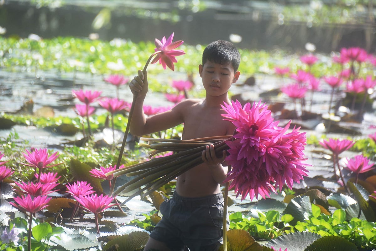 ছবি: পলাশ বড়ুয়া                             