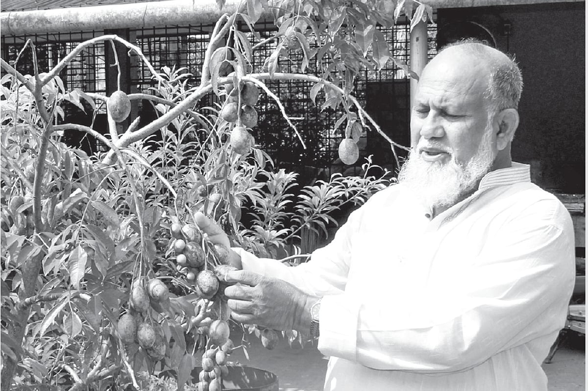 ছবি: আনোয়ার হােসন