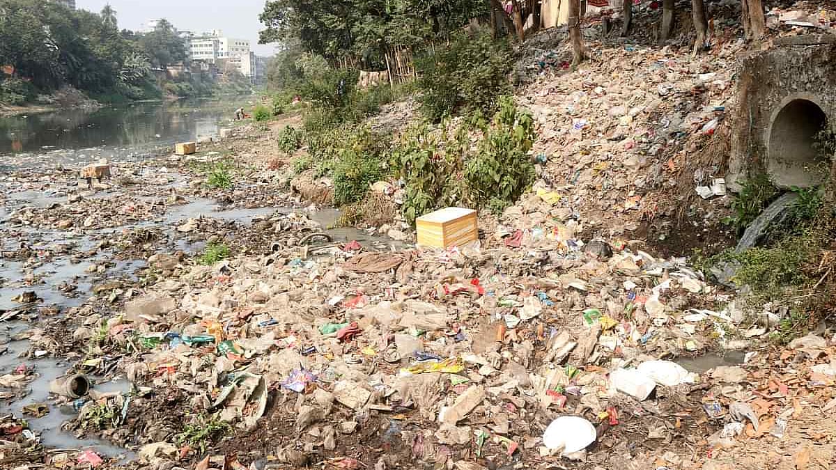 ছবি: প্রথম আলো