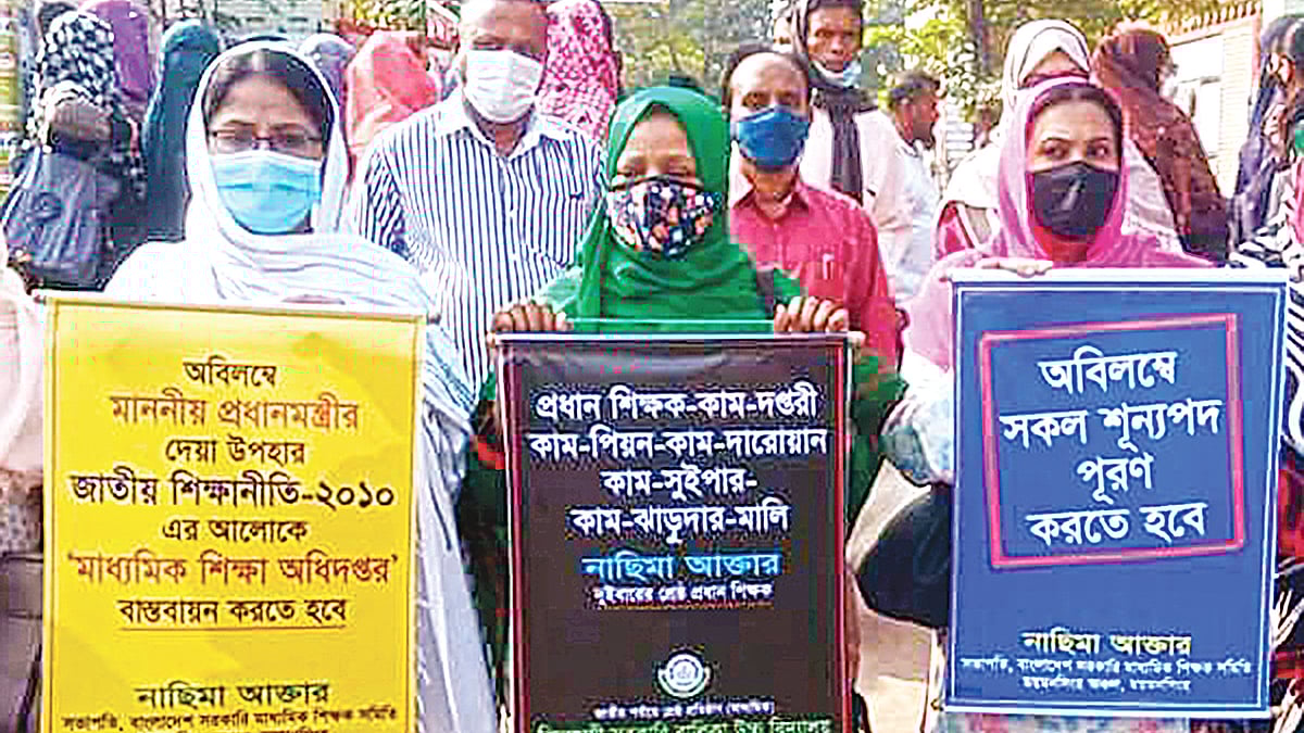  সংগৃহীত
