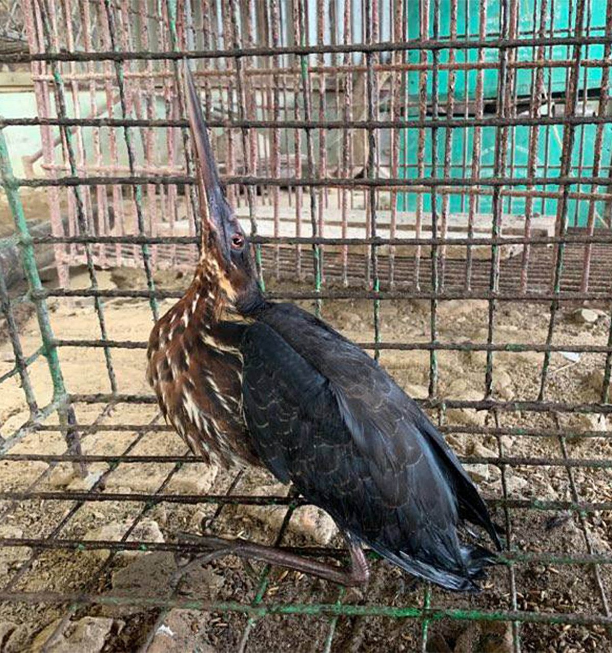 ছবি: প্রথম আলো