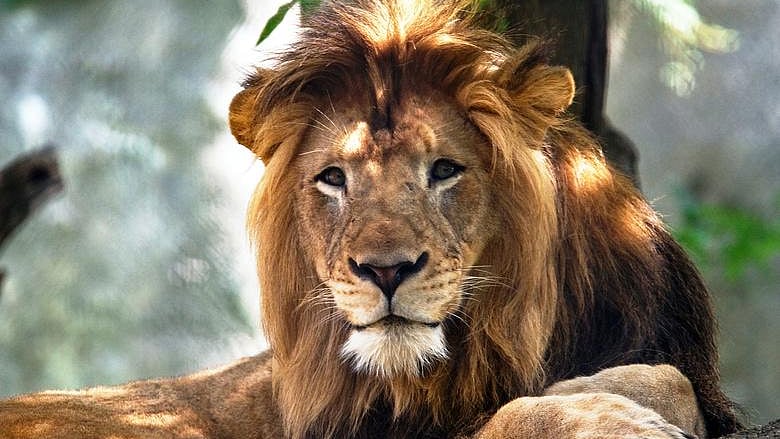 ফাইল ছবি: রয়টার্স