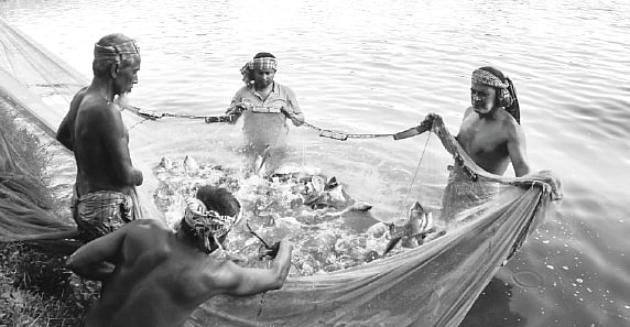 ছবি: প্রথম আলো