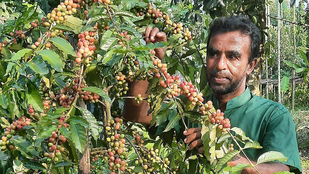 ছবি: প্রথম আলো