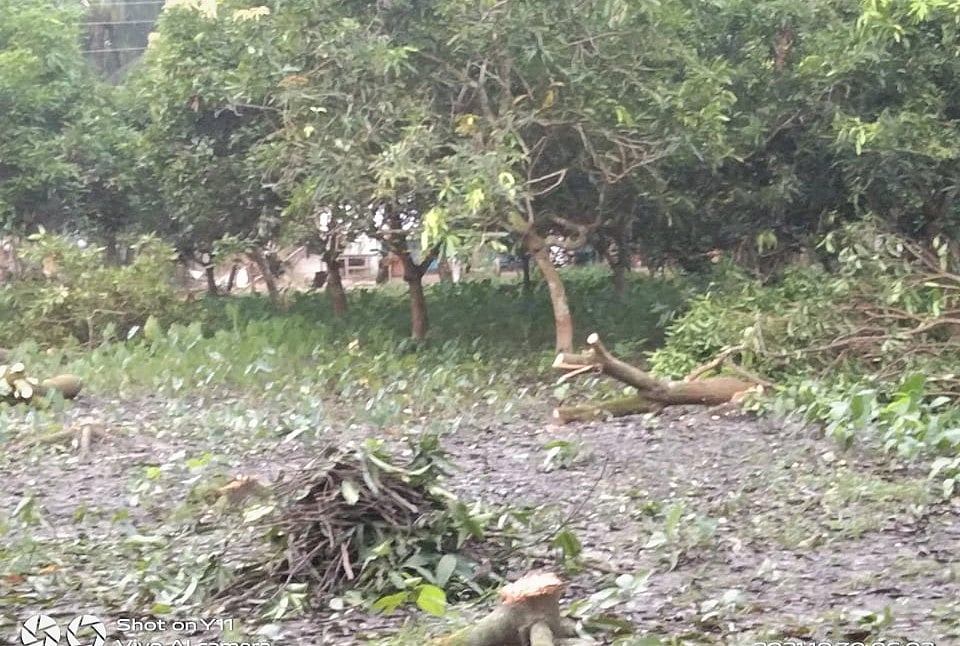 ছবি: প্রথম আলো