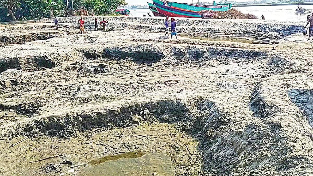  ছবি: প্রথম আলো 