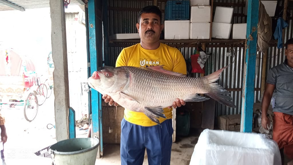 ছবি: প্রথম আলো