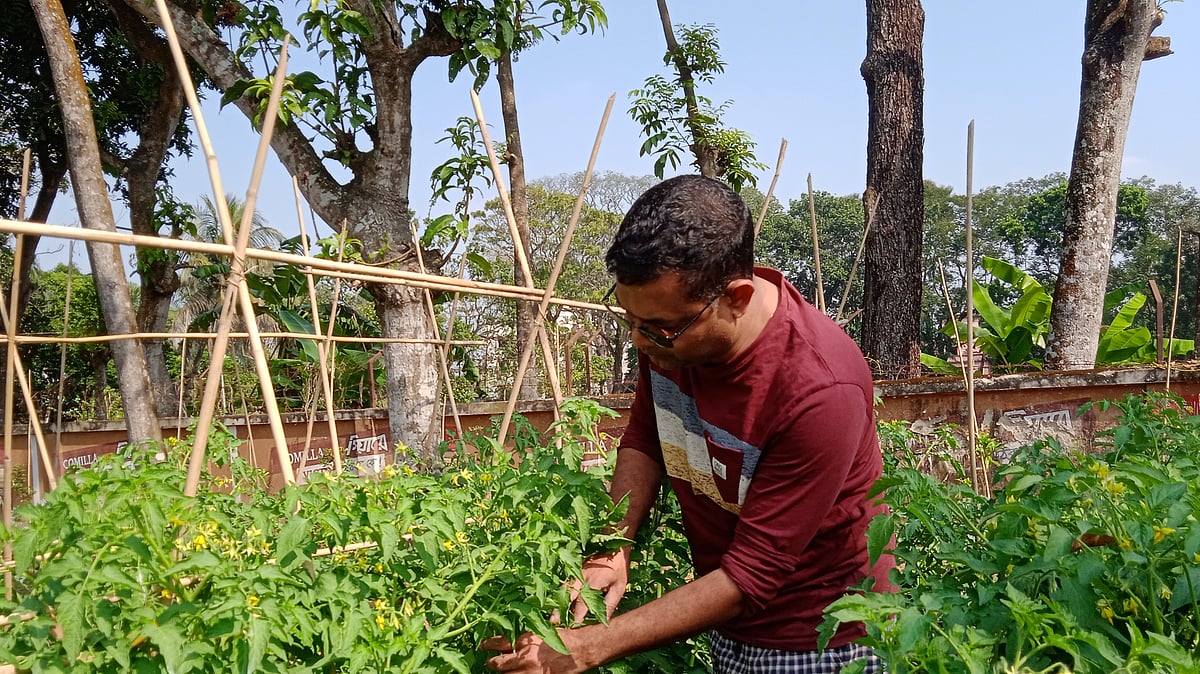 ছবি: প্রথম আলো