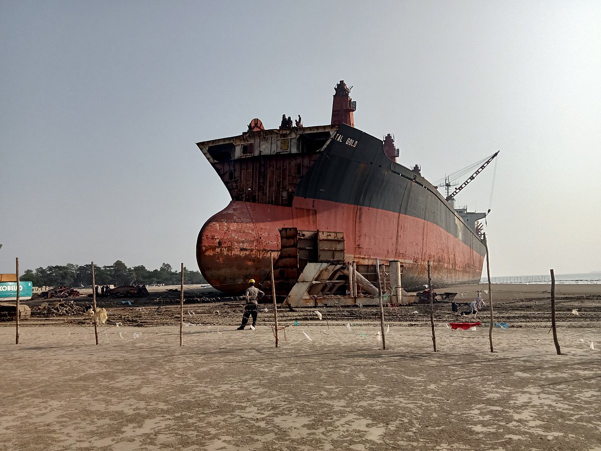 ছবি : মোহাম্মদ মোরশেদ হোসেন