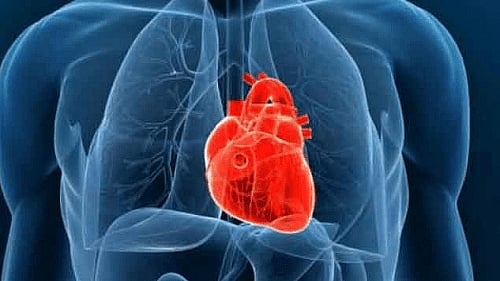 প্রতীকী ছবি: প্রথম আলো