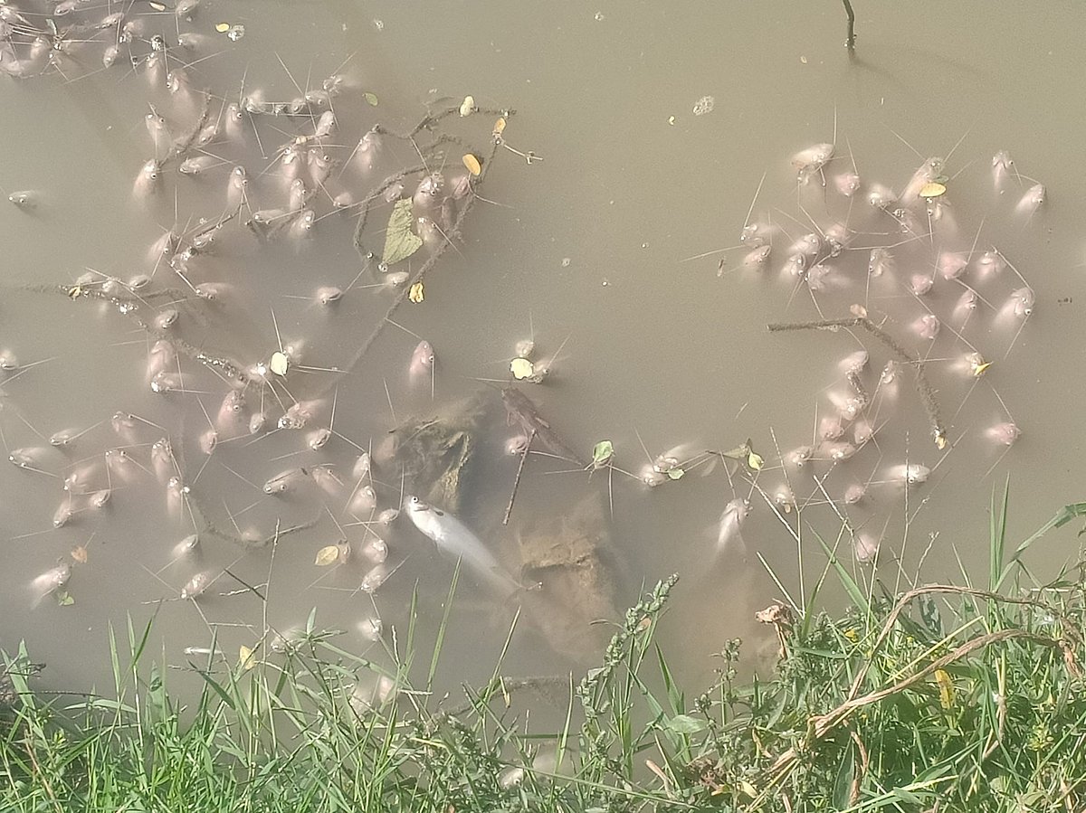 ছবি: প্রথম আলো