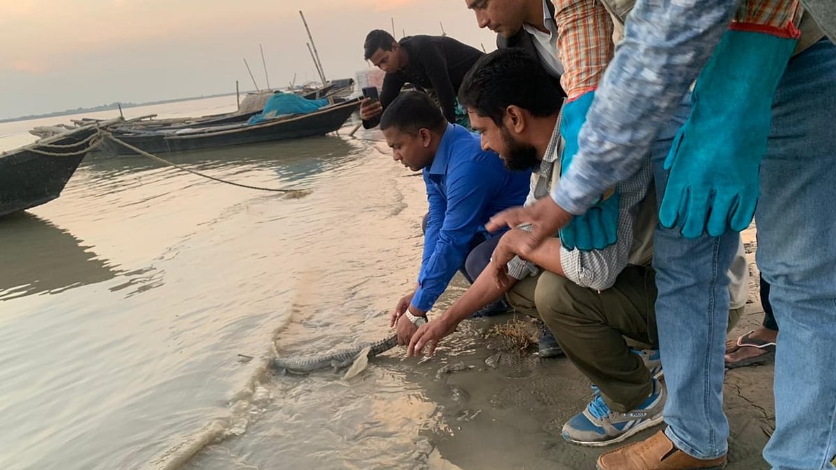 ছবি: প্রথম আলো