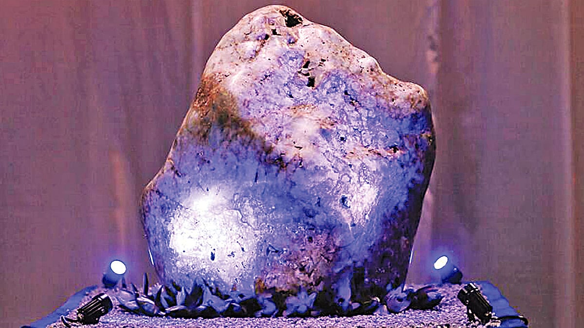   ছবি: রয়টার্স 