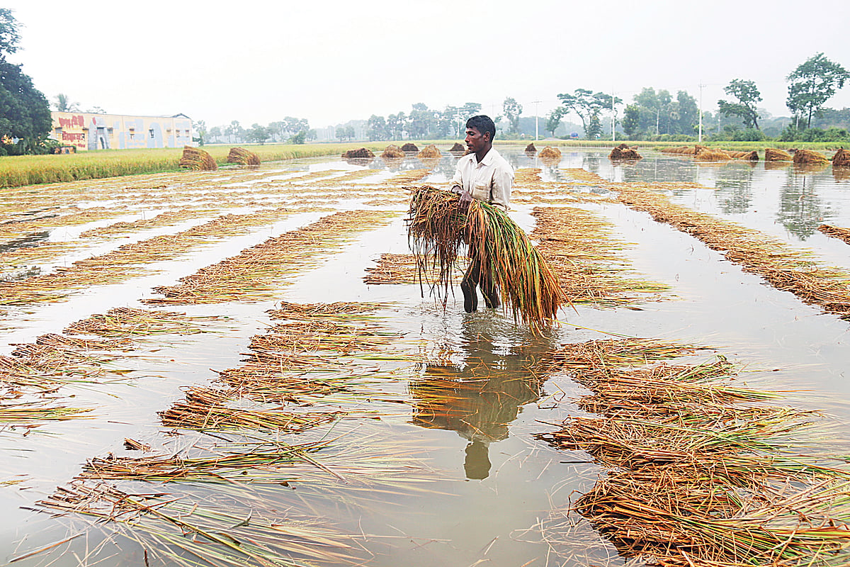   ছবি: এম সাদেক 