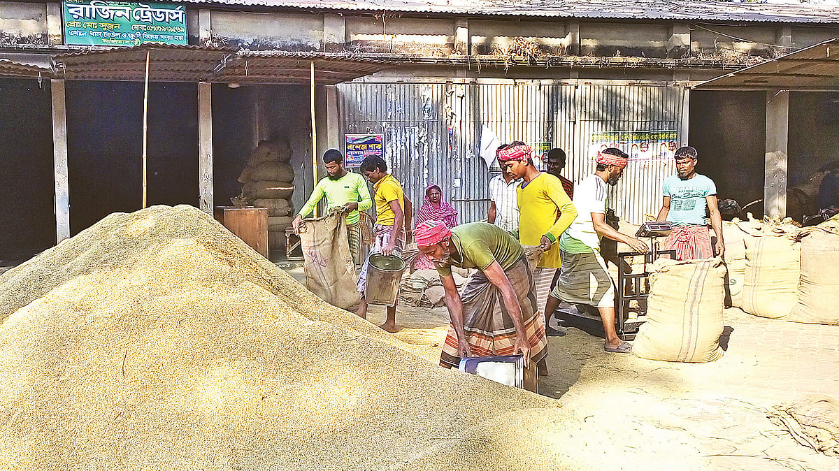 ফাইল ছবি