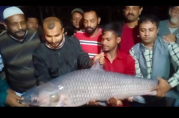 ছবি: প্রথম আলো