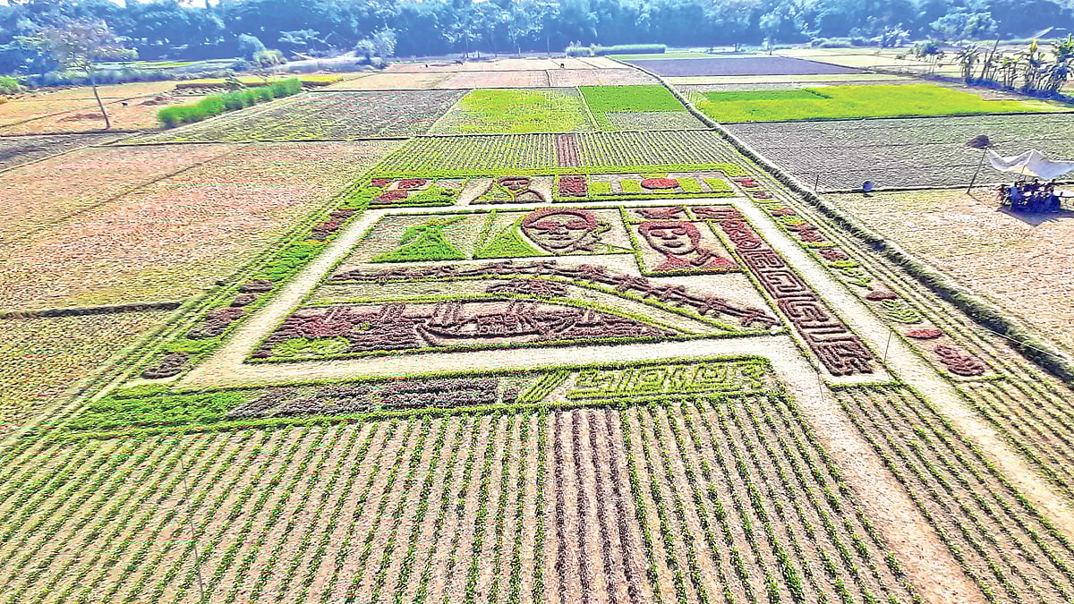 প্রথম আলো