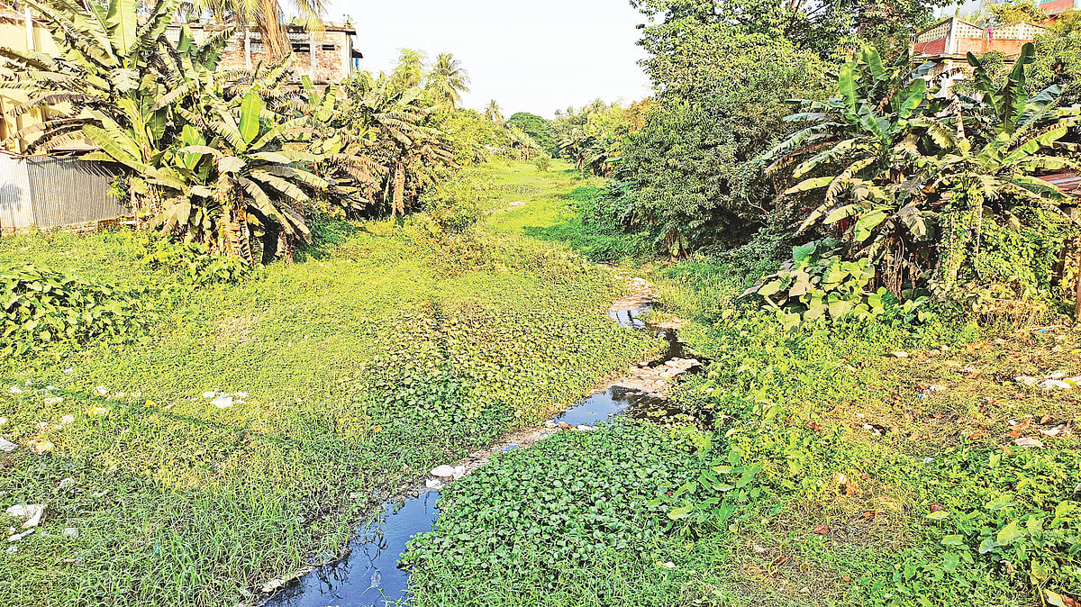  ছবি: প্রথম আলো