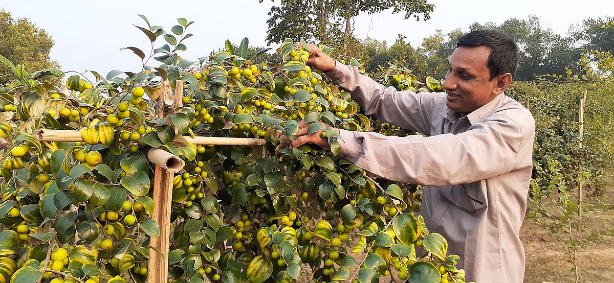 ছবি: প্রথম আলো