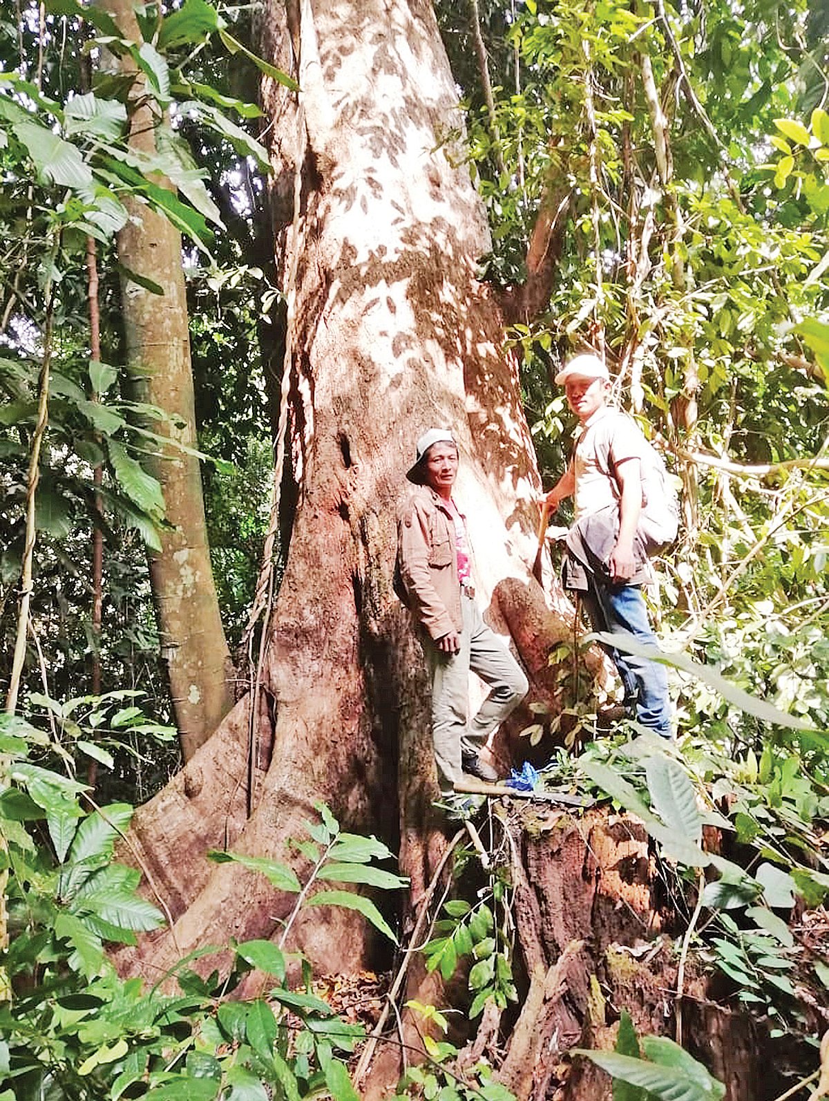 ছবি: প্রথম আলো