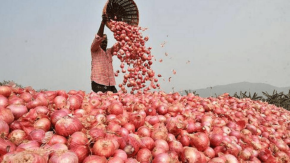 ফাইল ছবি: প্রথম আলো