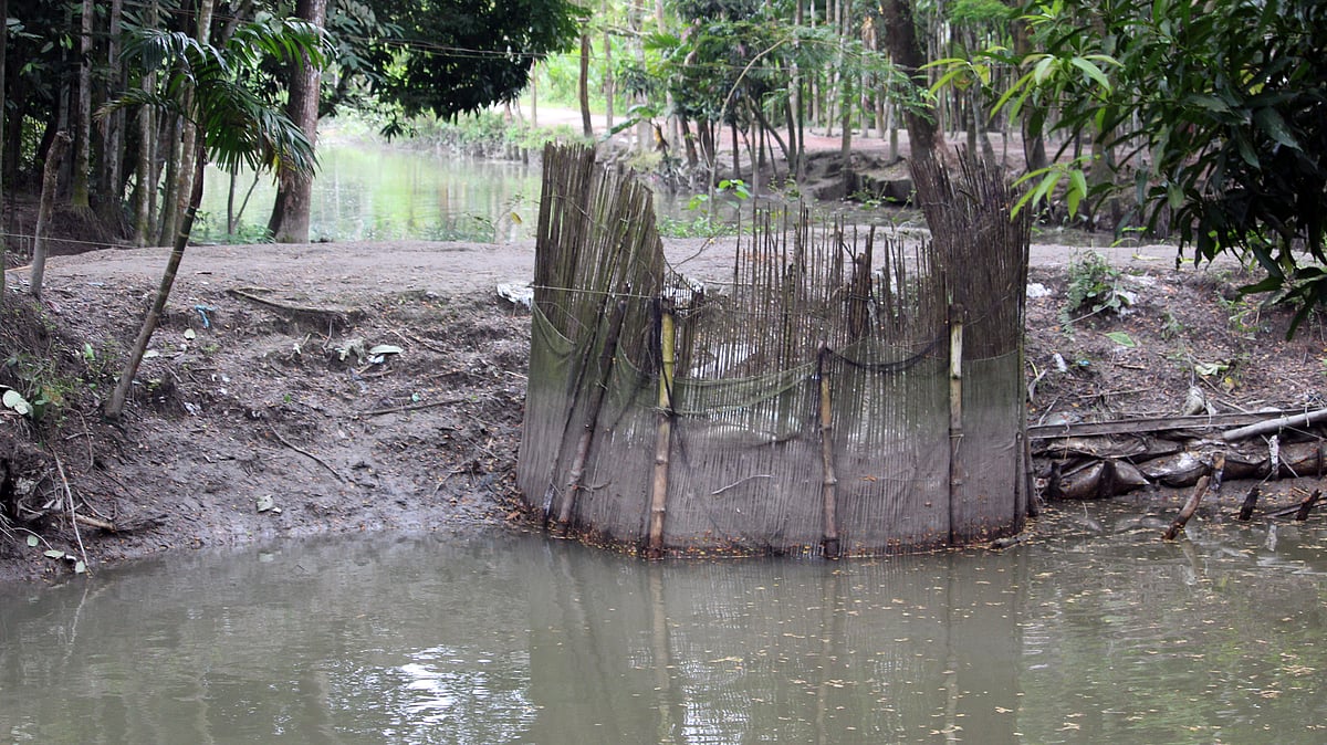 ছবি: প্রথম আলো