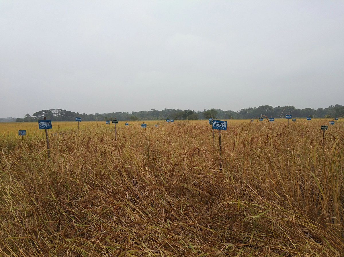 ছবি: প্রথম আলো